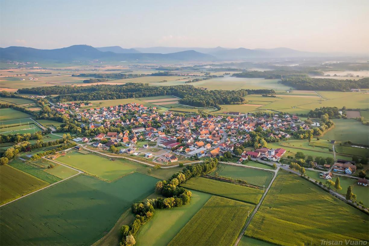 Appartamento Le Cocon Du Bord De L'Ill Illhaeusern Esterno foto